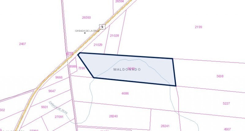 Campo de 35 has en venta